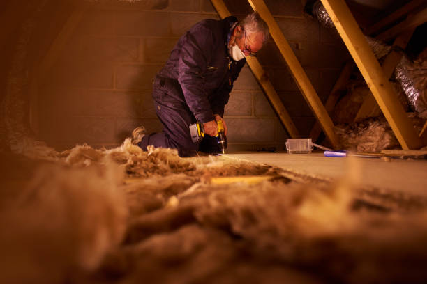 Best Attic Insulation Installation  in Henderson, NV